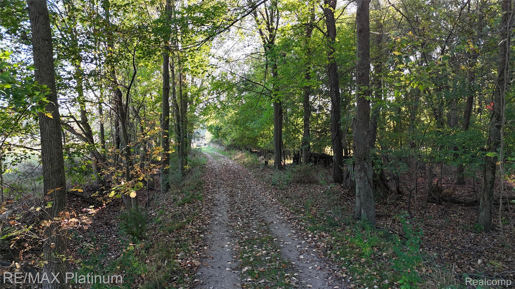 0000 Chapman Road