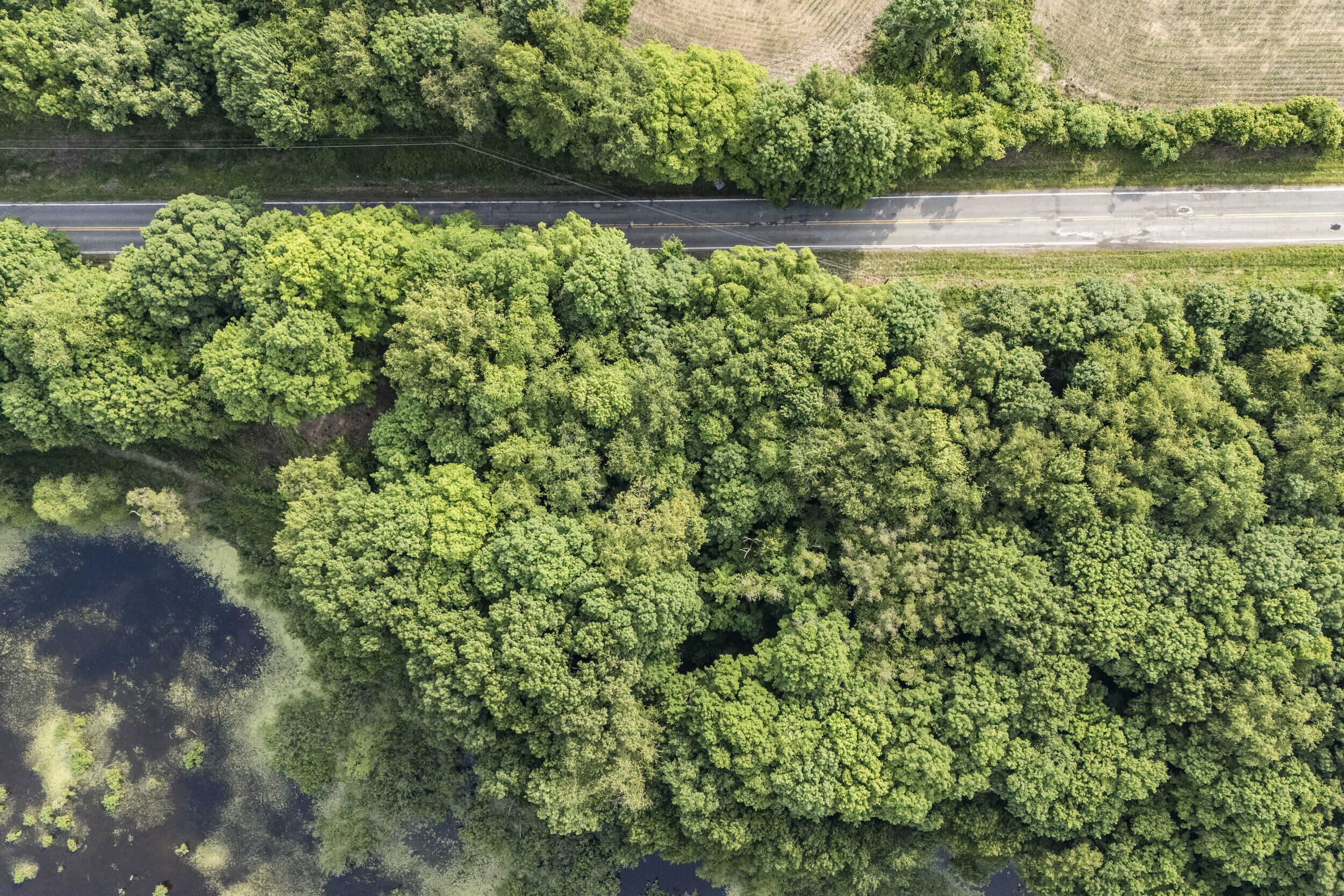 15326 MADRON LAKE Road