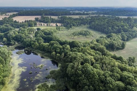 15326 MADRON LAKE Road Buchanan Township MI 49107