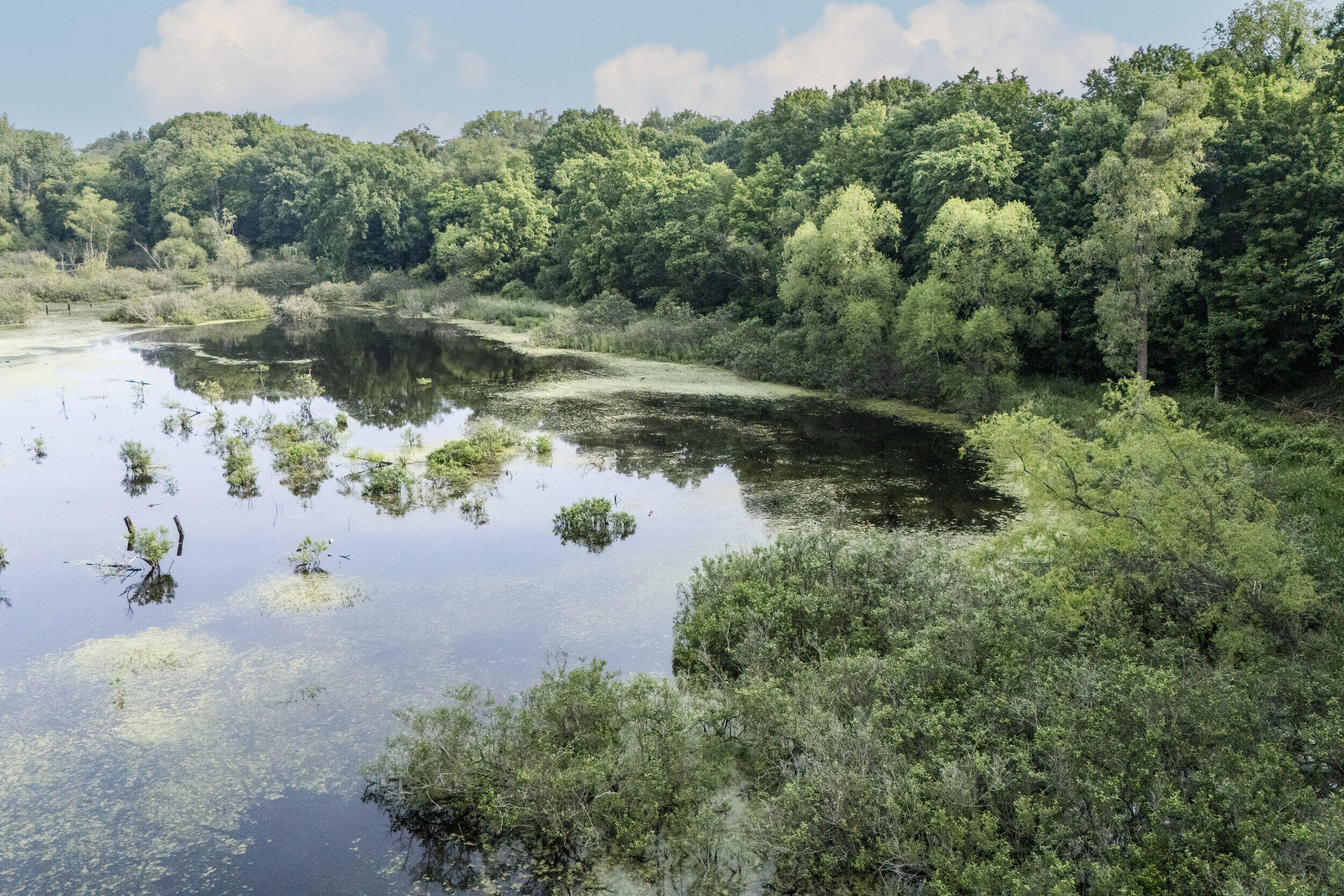 15326 MADRON LAKE Road