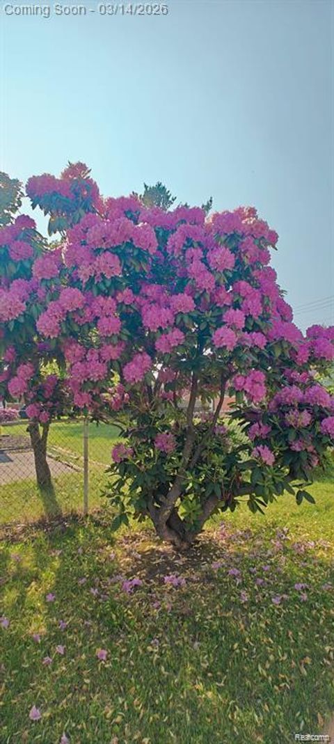 Tiny photo for 5441 Arden Avenue, Warren City, MI 48092 (MLS # 20261016149)