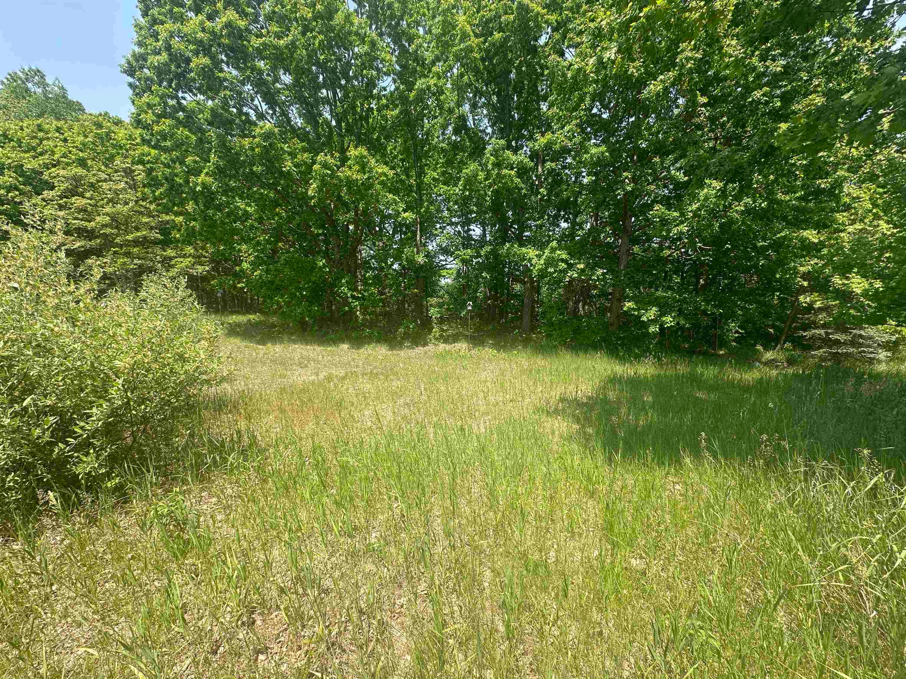 1035 Bonanza Lane
