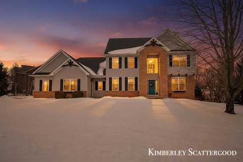 8700 Olde Meadow Drive NE Courtland Township MI 49341