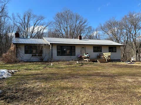 15033 Millard Road Fabius Township MI 49093