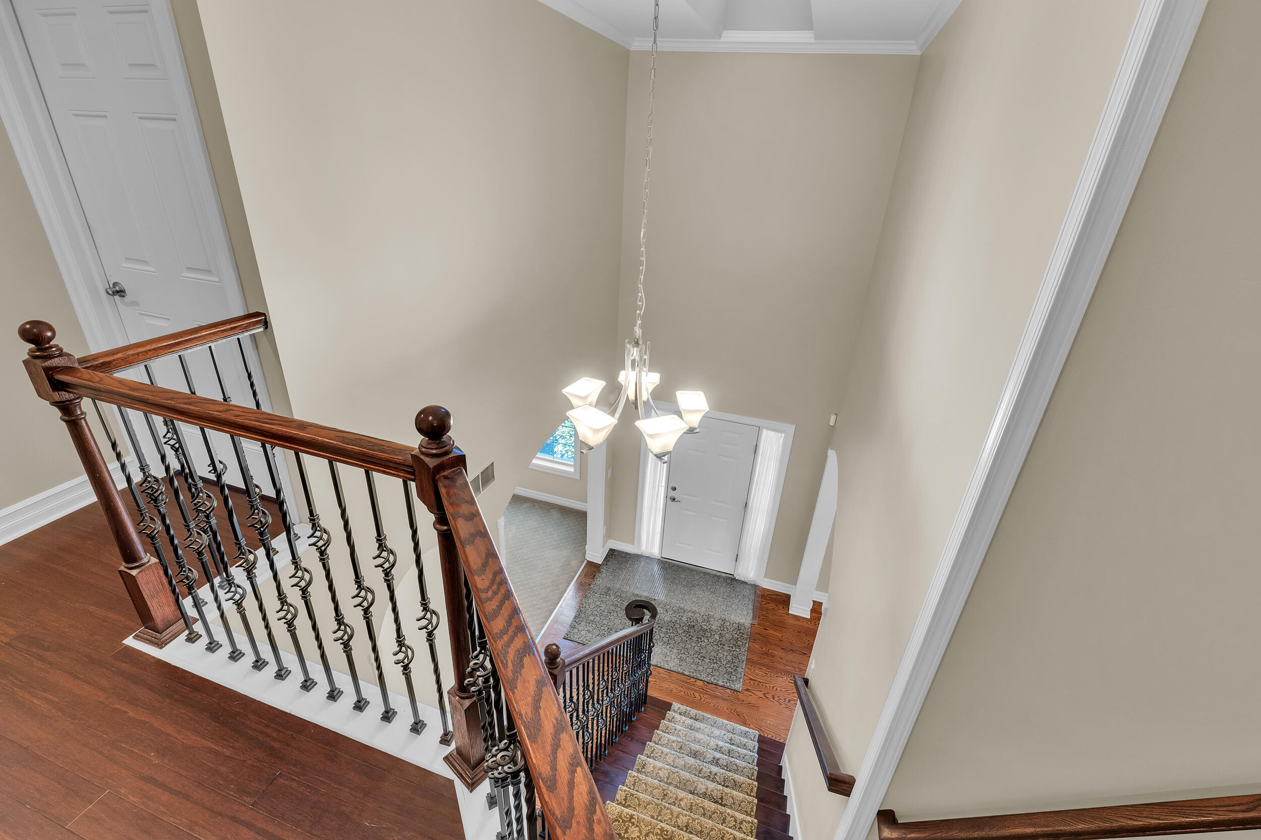 50501 Elmwood Court