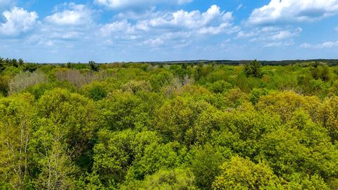 0 Michael Street Brandon Charter Township MI 48462