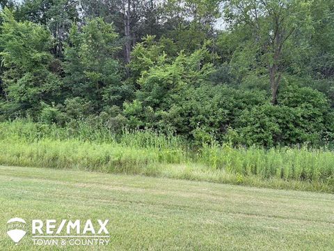 0 E Vienna Road Thetford Township MI 48420