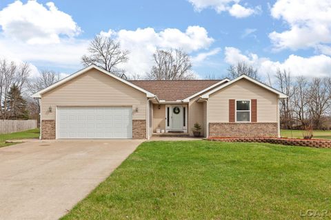 3160 Crabtree Lane Raisin Township MI 49286