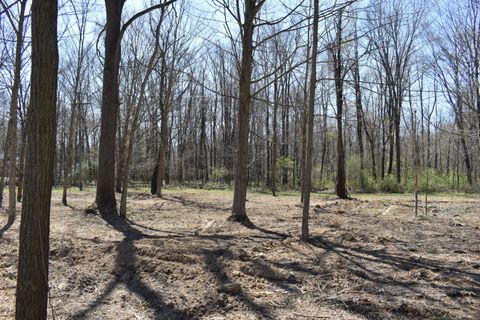 P-8 W ALLEN Road Conway Township Livingston MI 48836