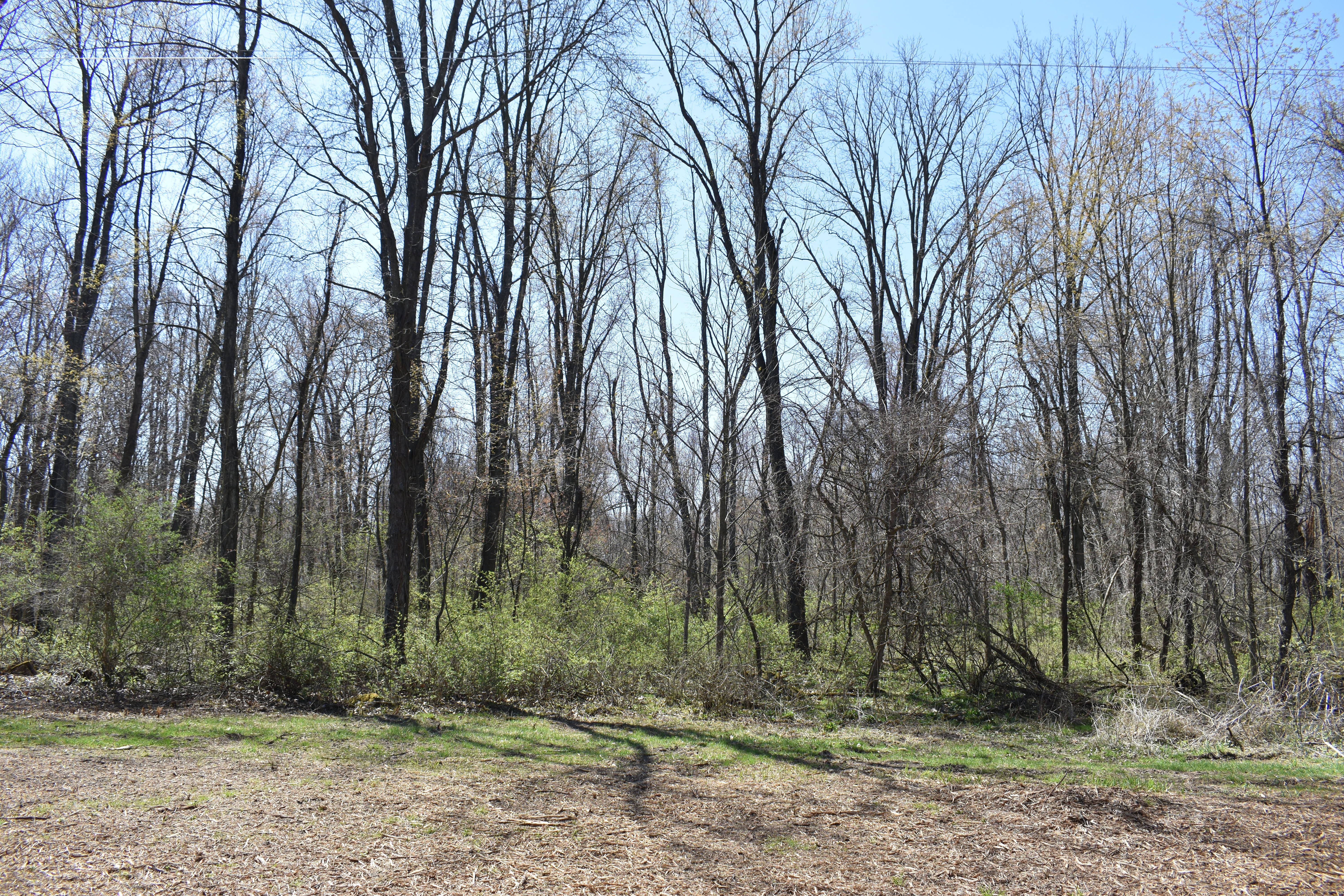 P-8 W ALLEN Road