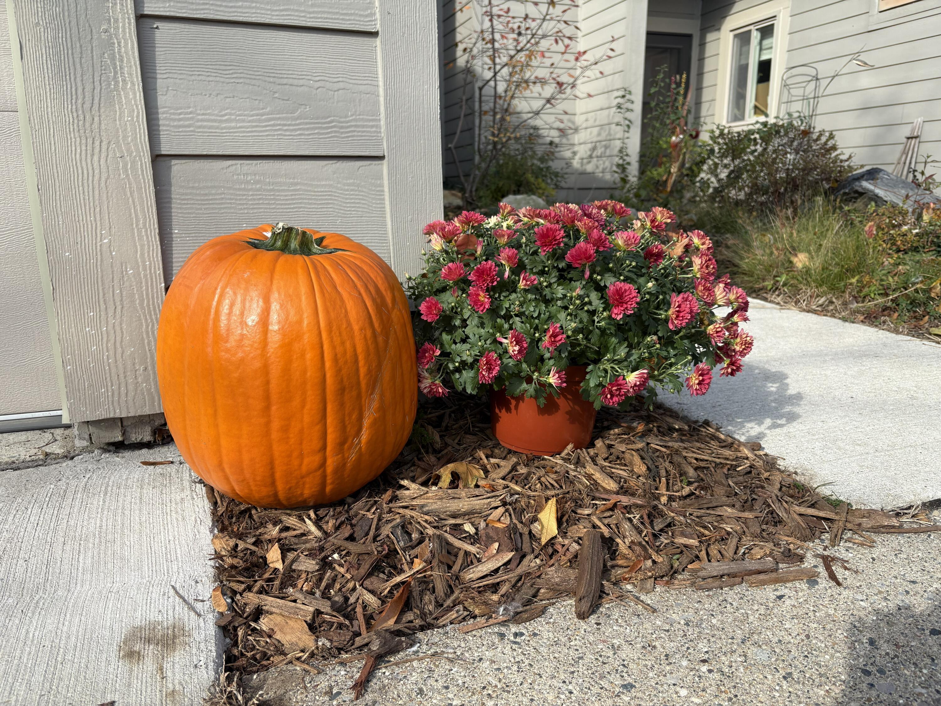 611 Watersedge Drive