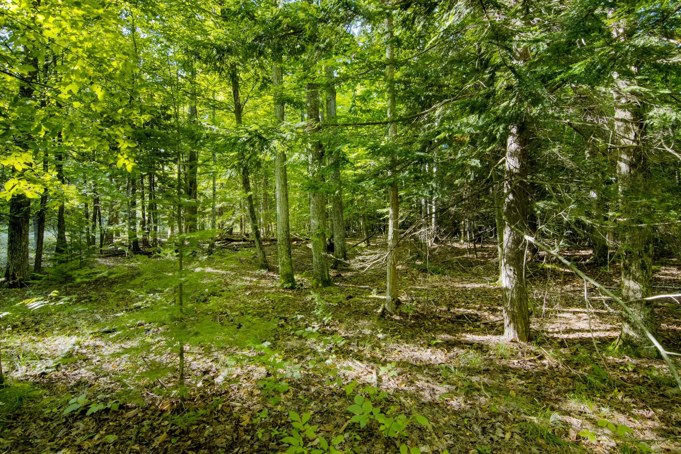 #2 Aspen Trail