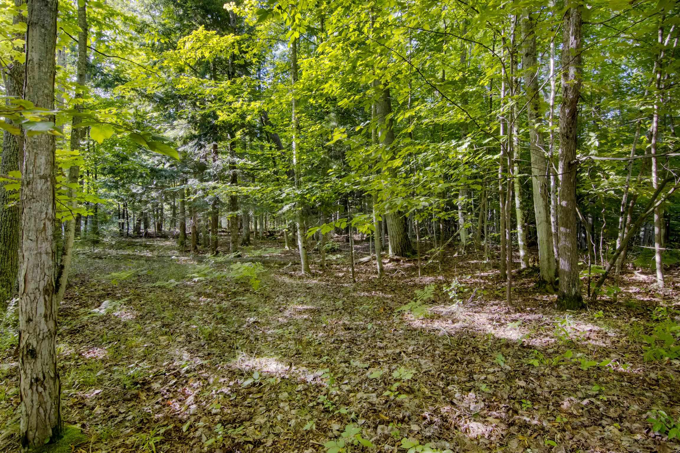 #2 Aspen Trail