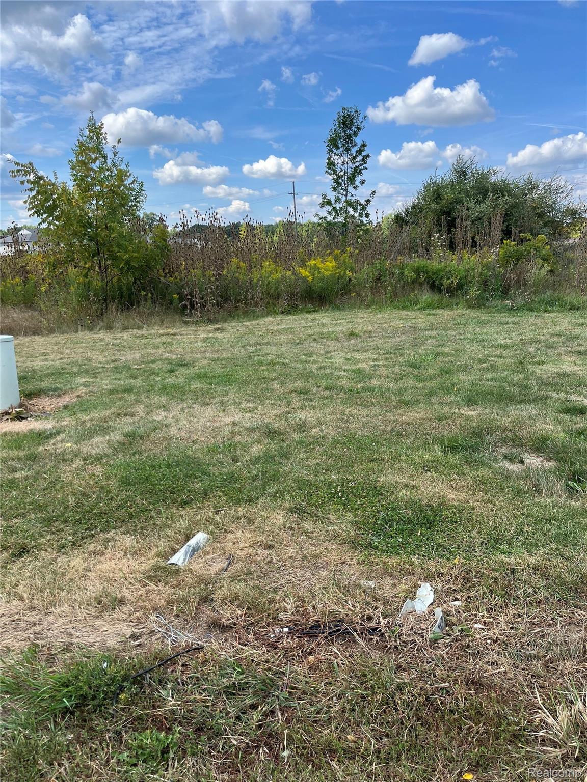 Vacant Land Grand River Avenue