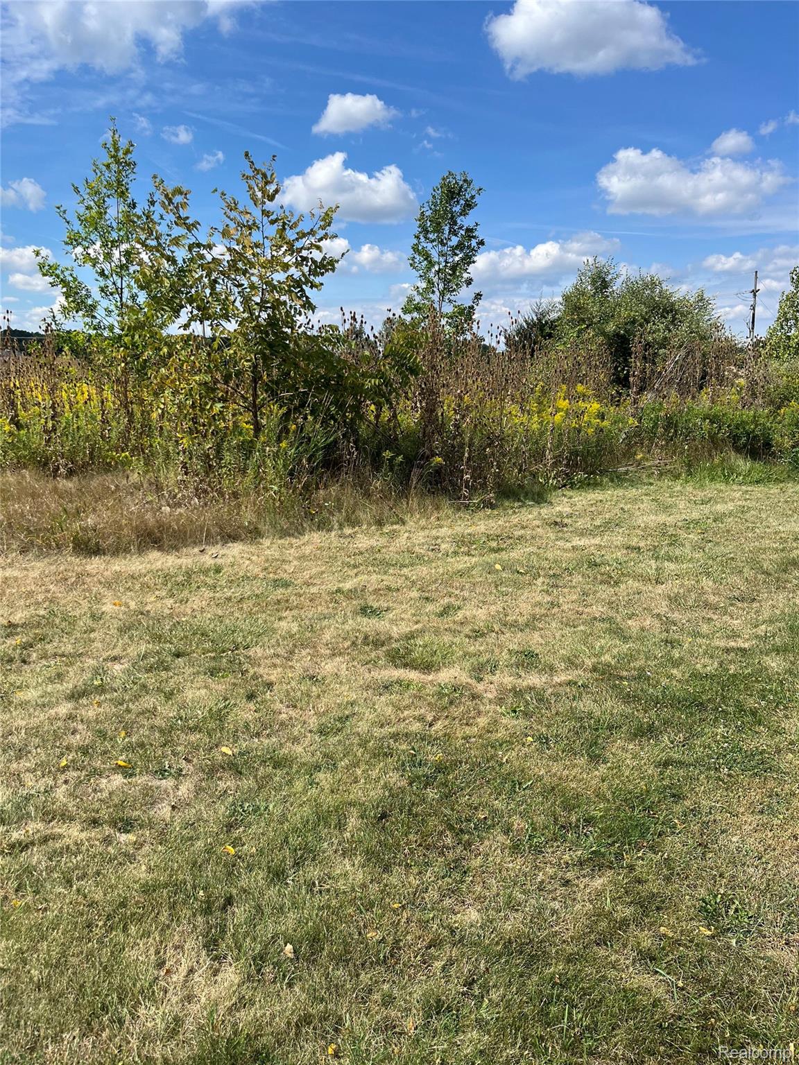 Vacant Land Grand River Avenue