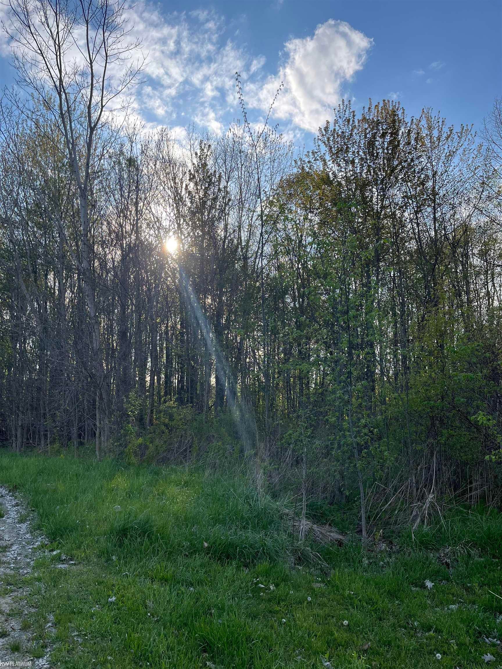 0 Fox Ridge 1-A Lane