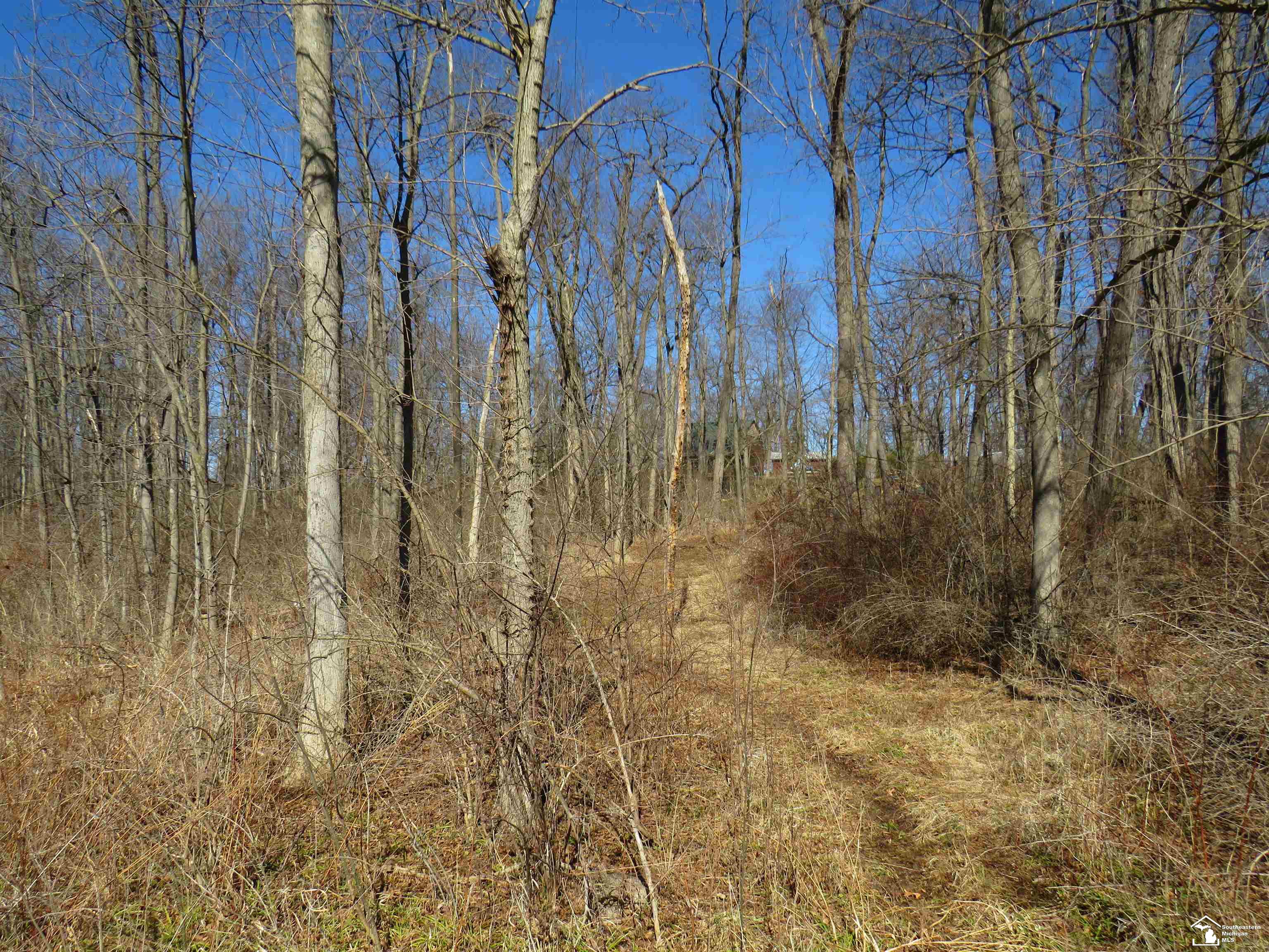 1193 Sand Lake Highway