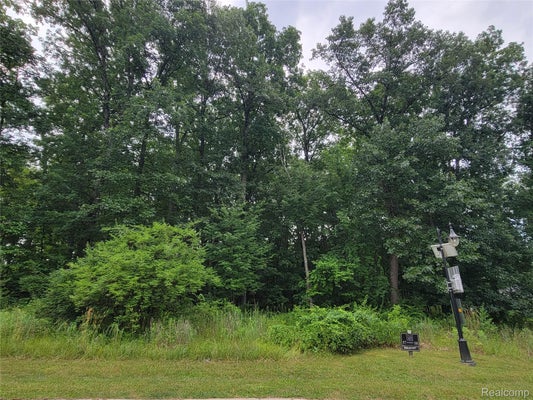 57 WYNDAM LN, BRIGHTON, MI 48116 - Image 373c984734a0364c413a49f6eca2cf1d/2094058627