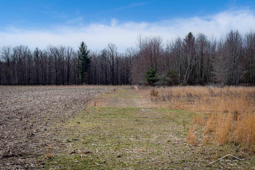 West 80 Acres Grabowski Road