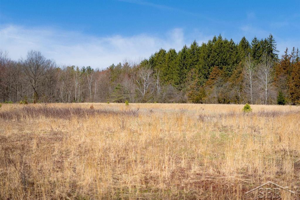 West 80 Acres Grabowski Road