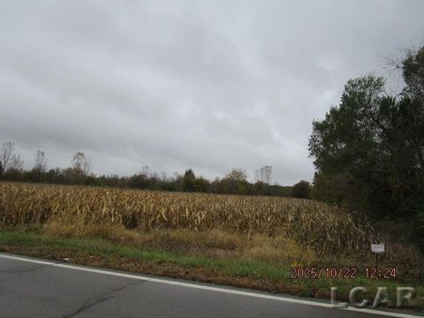 13002 Bartlett Road Bridgewater Township MI 49236