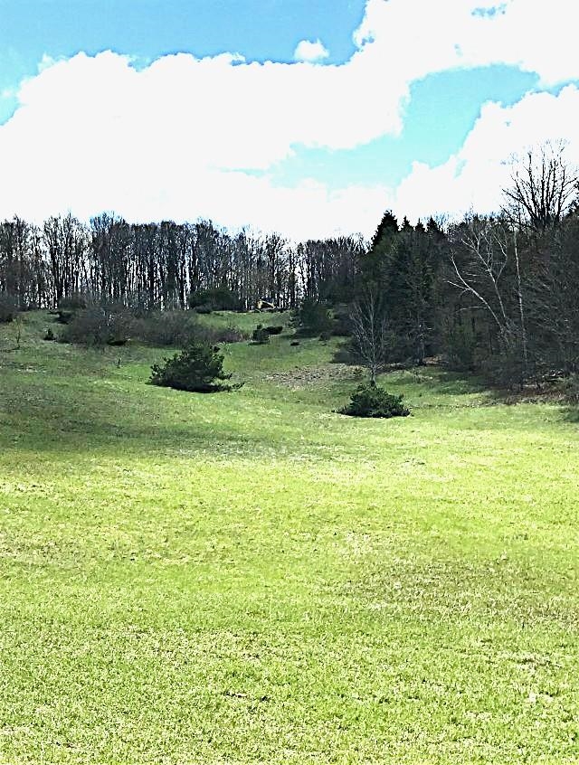 Lots 11 & 12 McPherson Road