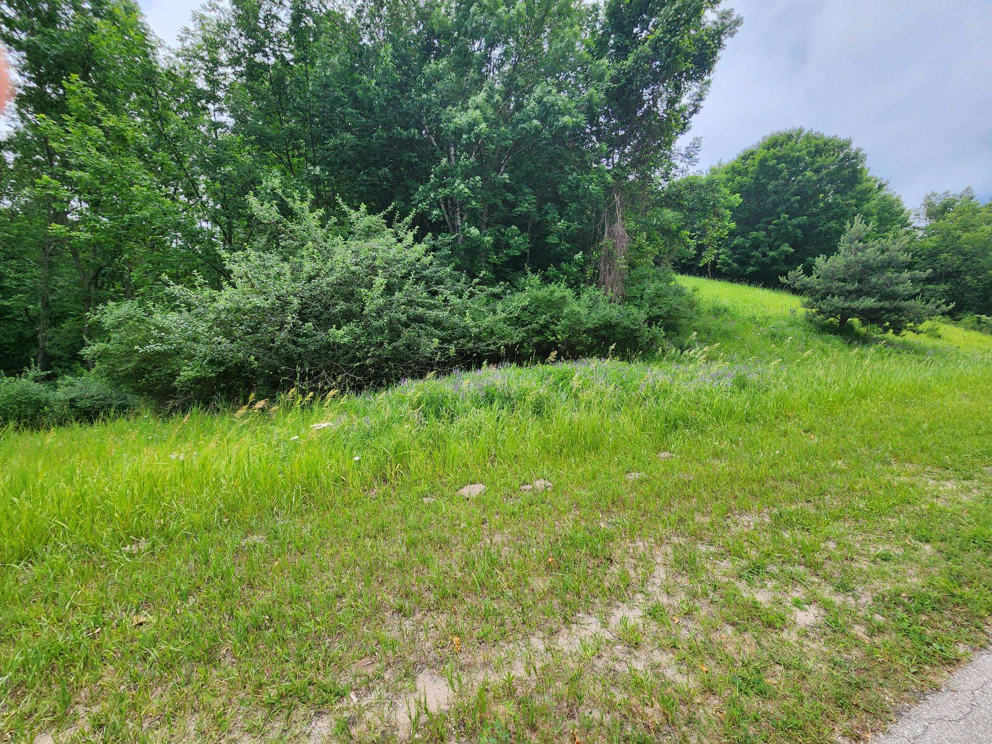 0000 Deer Ridge Trail