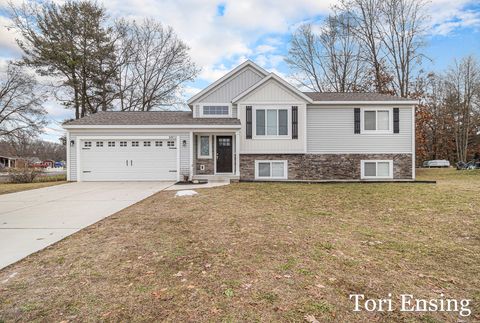 8802 Huron Drive Winfield Township MI 49329
