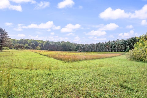 Tiny photo for 9957 150th Avenue, Cedar Township, MI 49677 (MLS # 72026045967)