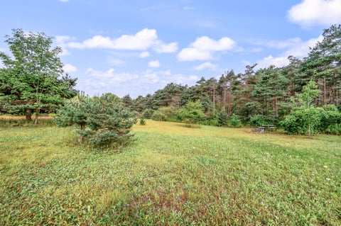 Tiny photo for 9957 150th Avenue, Cedar Township, MI 49677 (MLS # 72026045967)