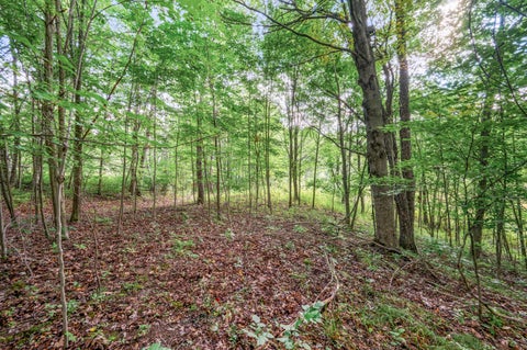 Tiny photo for 9957 150th Avenue, Cedar Township, MI 49677 (MLS # 72026045967)