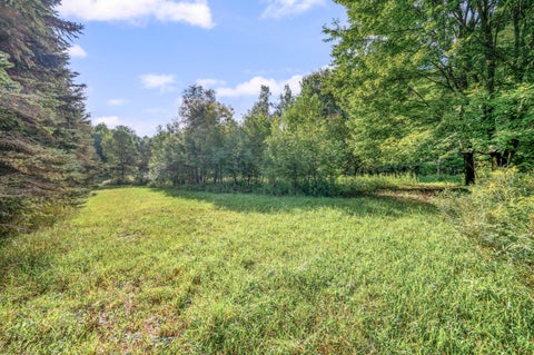 Tiny photo for 9957 150th Avenue, Cedar Township, MI 49677 (MLS # 72026045967)
