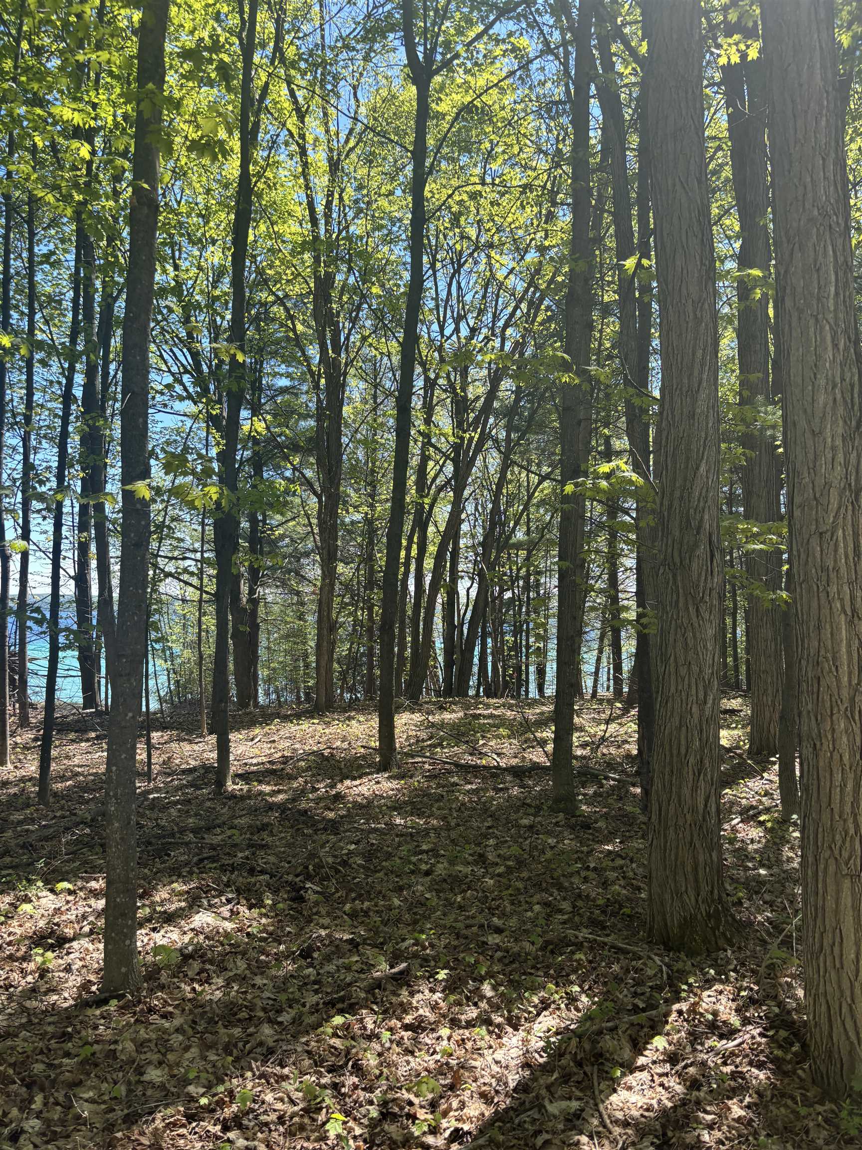 0 Torch Lake Drive,SW