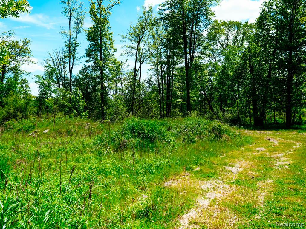 C-1 DOA Lane