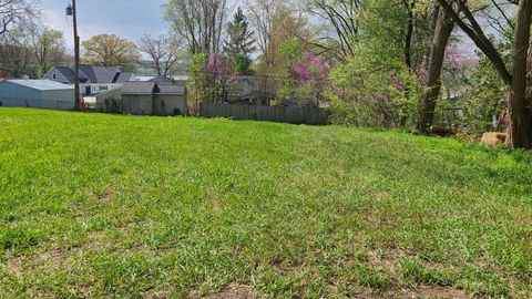 000 Rushview Drive Hamburg Township Livingston MI 48139