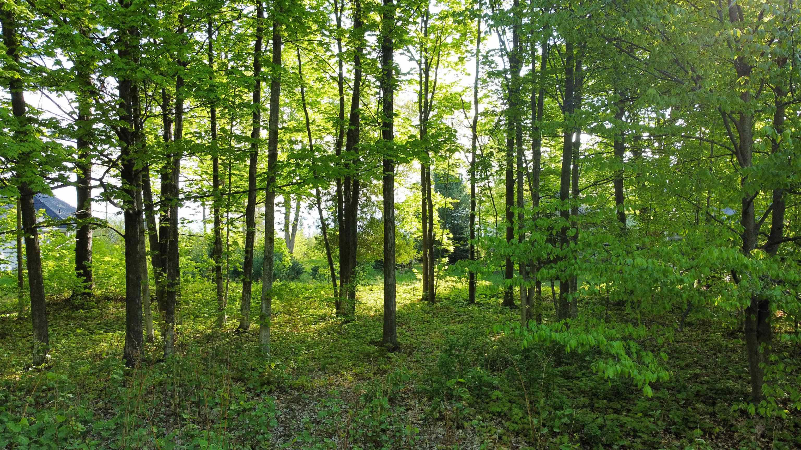 00 Robins Ridge