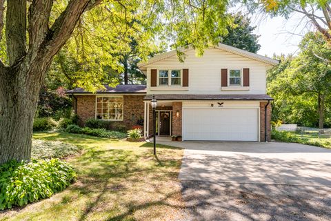 6582 Ryno Road Coloma Charter Township MI 49038