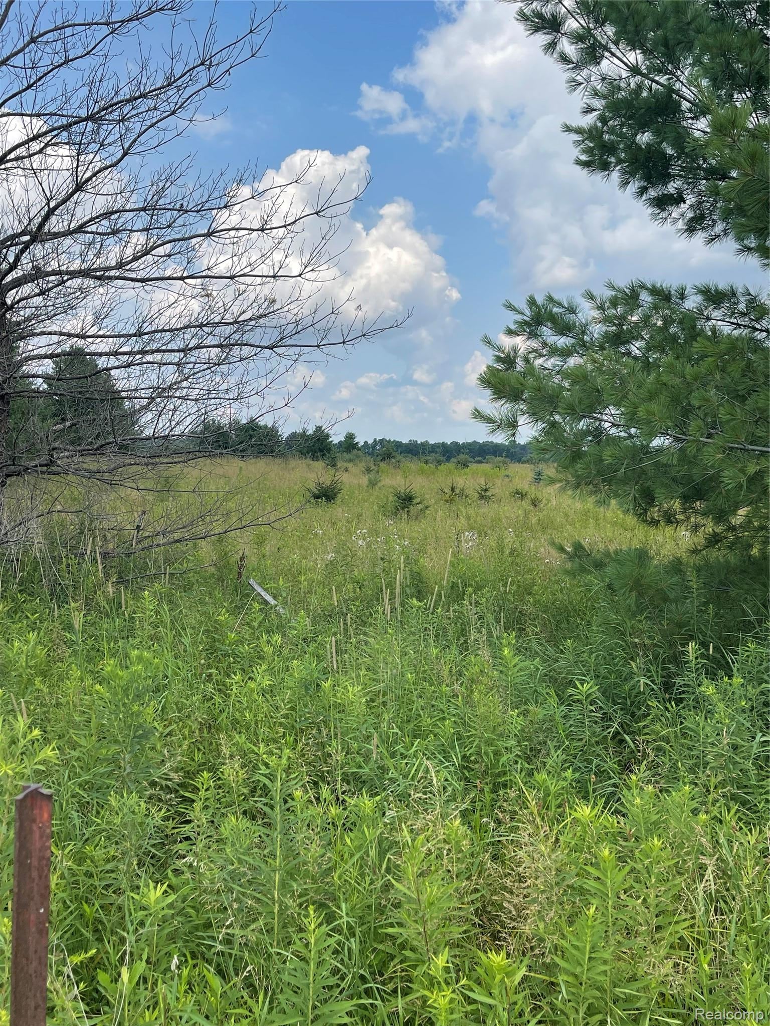 Vacant Land 2 Wellman Line