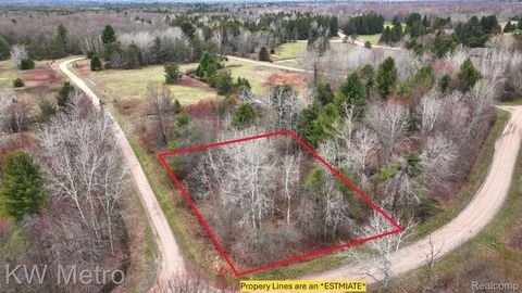Lot 466 Tanglewood Drive Oscoda Charter Township MI 48750