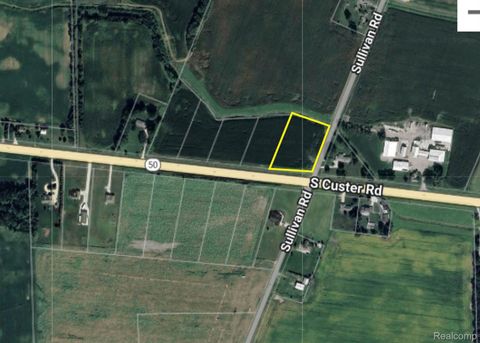 0000 Sullivan Raisinville Township MI 48161