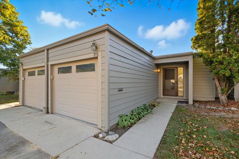 715 Skynob Drive Ann Arbor City MI 48105