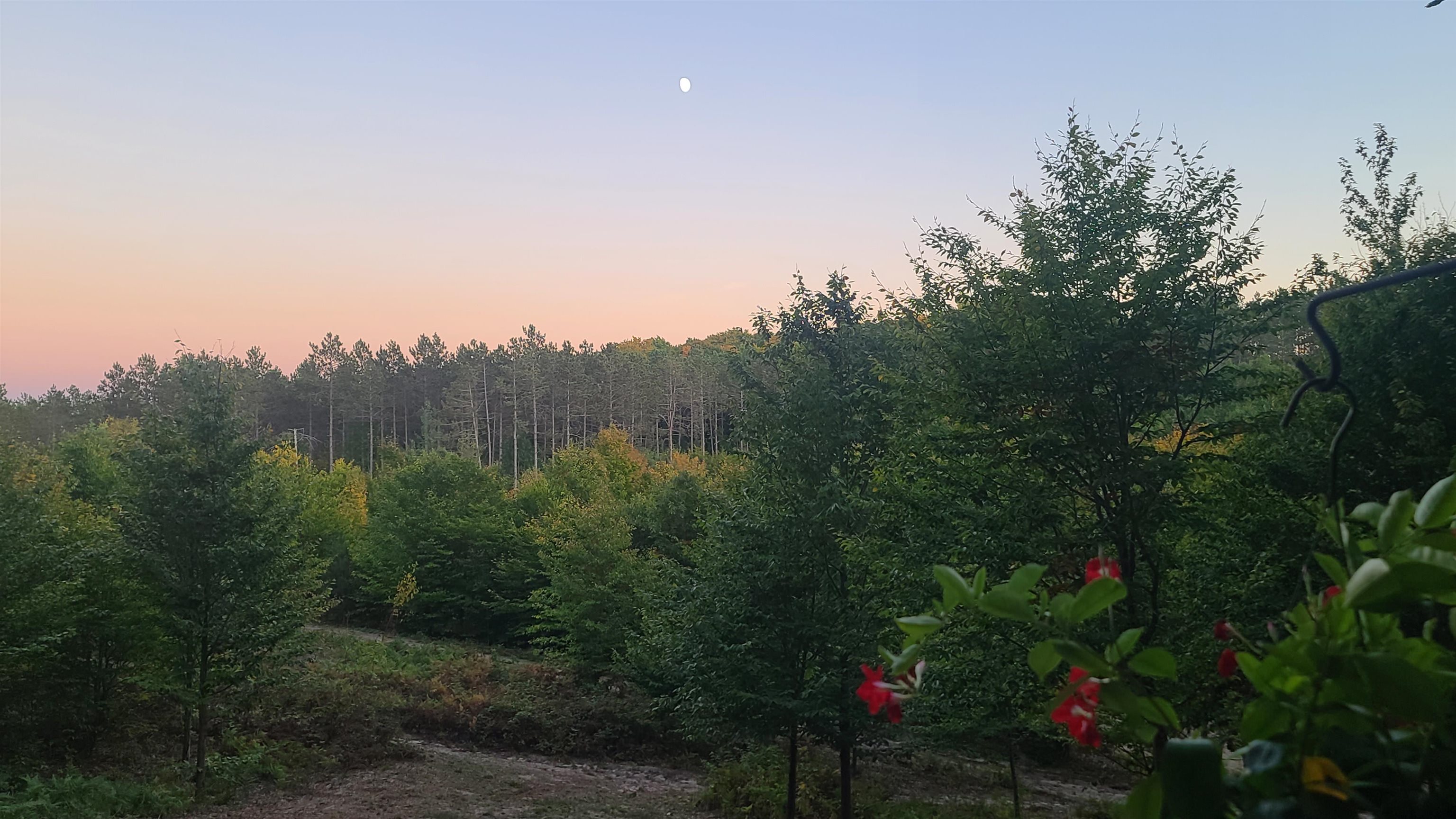 5770 SW Entwood Lane