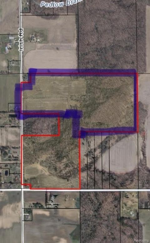 7.29 VL Irish Rd Millington Township MI 48746