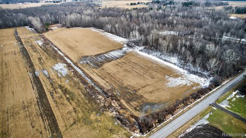 40 Acres Irish Rd Millington Township MI 48746