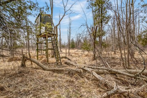 Tiny photo for 875 E Jackson Road, Crystal Township, MI 49420 (MLS # 67026013445)