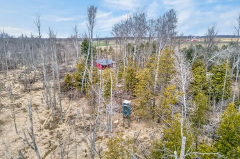 Tiny photo for 875 E Jackson Road, Crystal Township, MI 49420 (MLS # 67026013445)