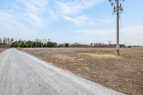 Tiny photo for 875 E Jackson Road, Crystal Township, MI 49420 (MLS # 67026013445)