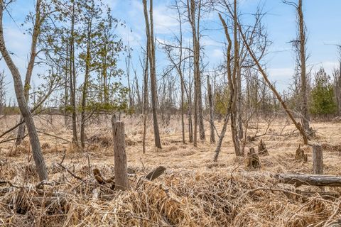 Tiny photo for 875 E Jackson Road, Crystal Township, MI 49420 (MLS # 67026013445)