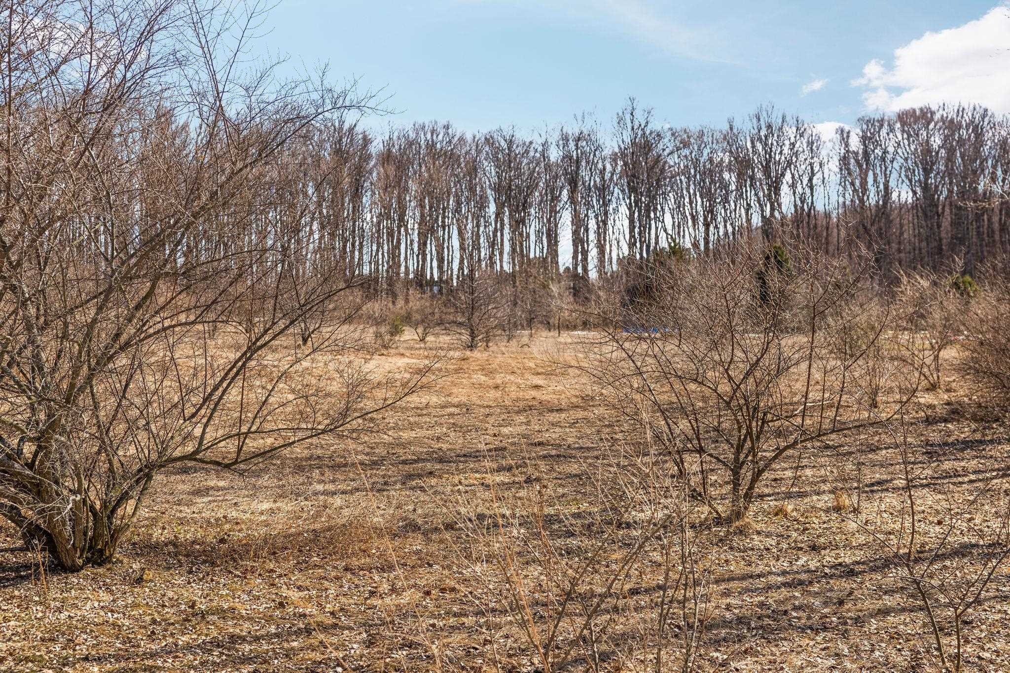 11936 E Blossom Lane