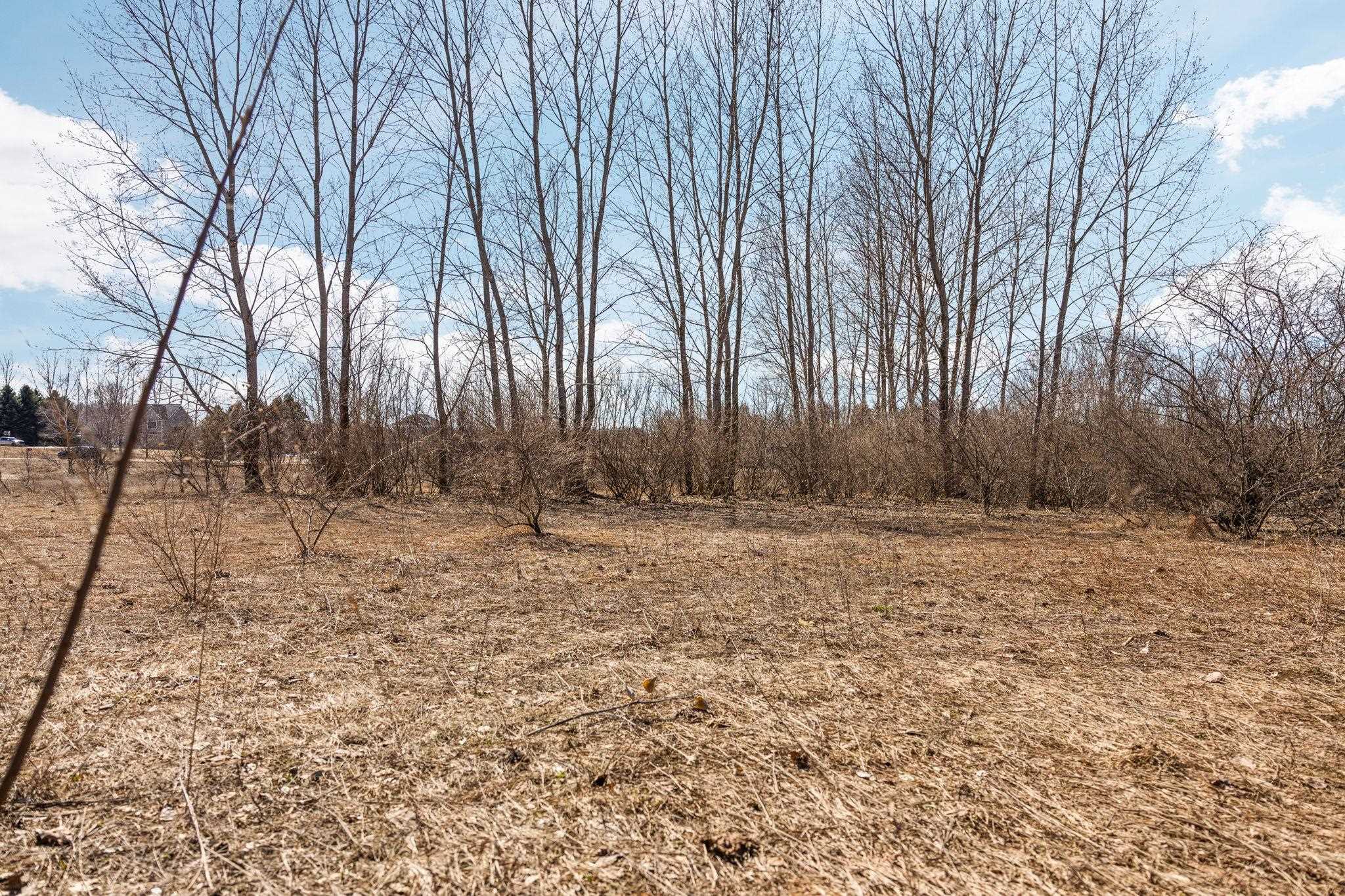 11936 E Blossom Lane